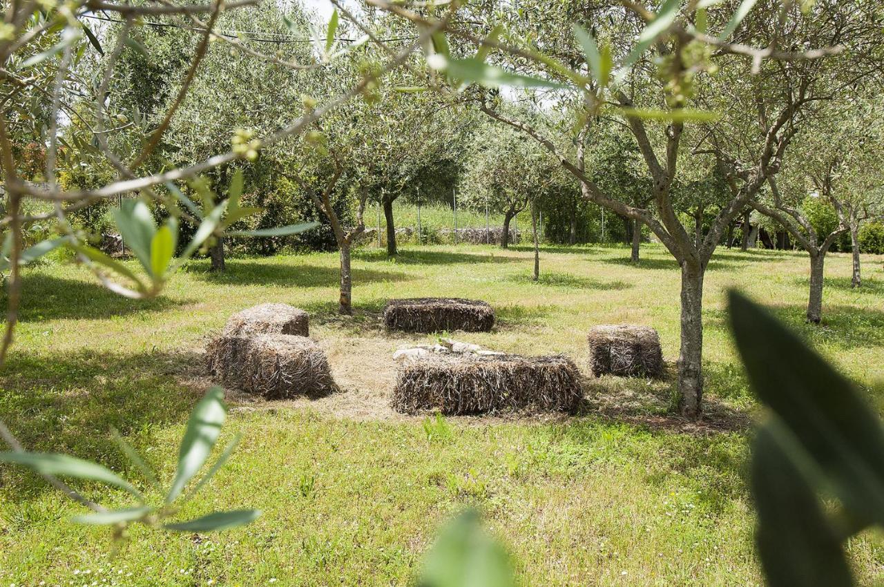 B&B Trulli Valle D'Itria Martina Franca Eksteriør bilde
