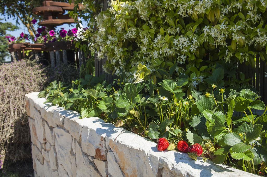 B&B Trulli Valle D'Itria Martina Franca Eksteriør bilde